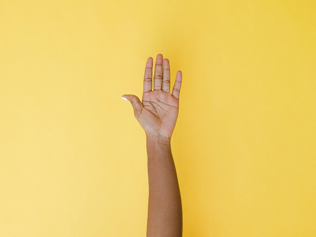 Verve News Ask The Verve Experts